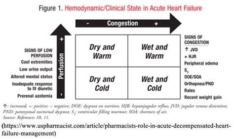 Low Output Heart Failure: The Cold and Wet Patient.
